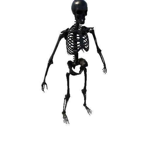 SK_Skeleton_Black Variant